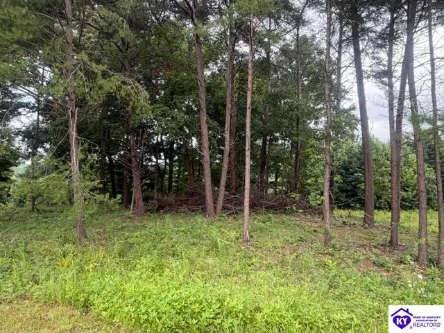 0 Paulette Way, Falls Of Rough, KY 40119 - #3
