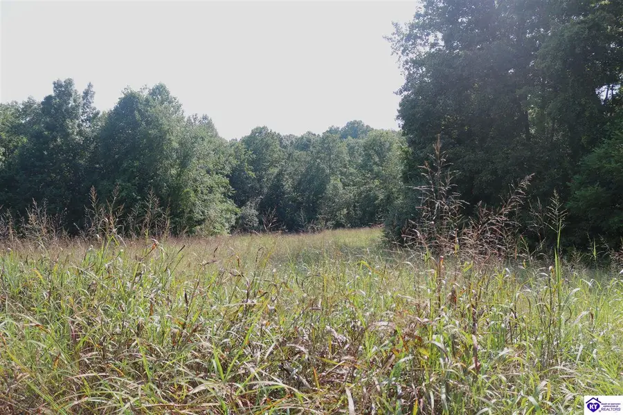 00 Levi Beam Road, Magnolia, KY 42757 - #2