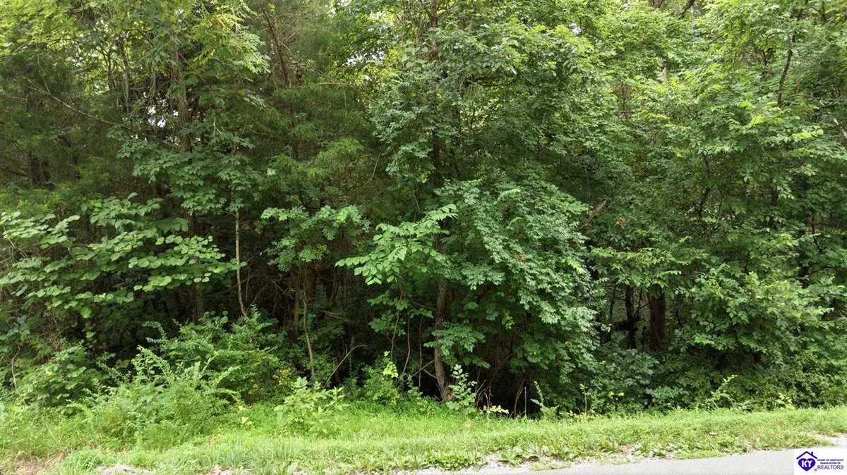 2540 Jim Clark Rd, New Haven, KY 40051 - #1