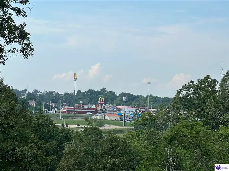 0 Victory Heights Drive, Leitchfield, KY 42754 - #2