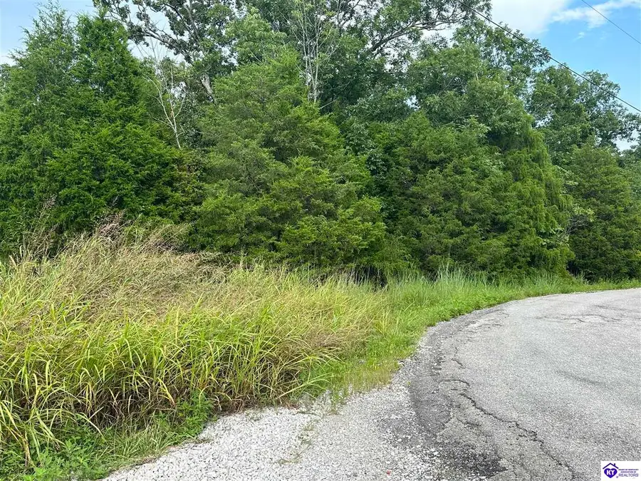 0 Victory Heights Drive, Leitchfield, KY 42754 - #3