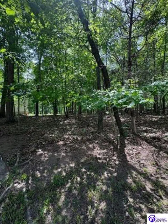 Lot 49 Bluebird Road, Brandenburg, KY 40108 - #3