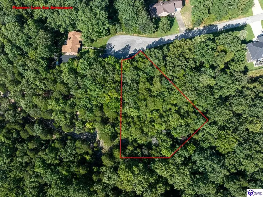Lots 299 & 300 Woodview Drive, Brandenburg, KY 40108 - #3