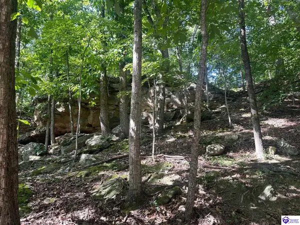 25210 SW Sonora Hardin Springs Road, Big Clifty, KY 42712