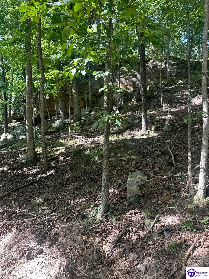 25210 SW Sonora Hardin Springs Road, Big Clifty, KY 42712 - #2