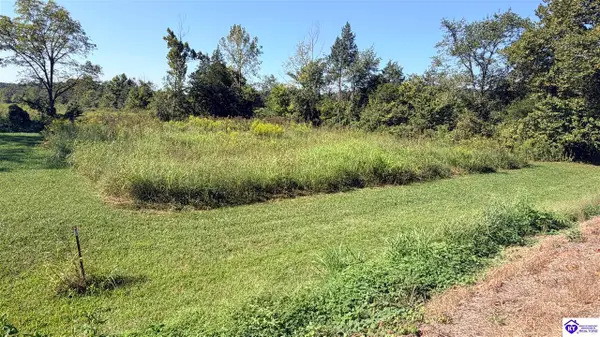 Lot 2B-14153 St John Road, Rineyville, KY 42788