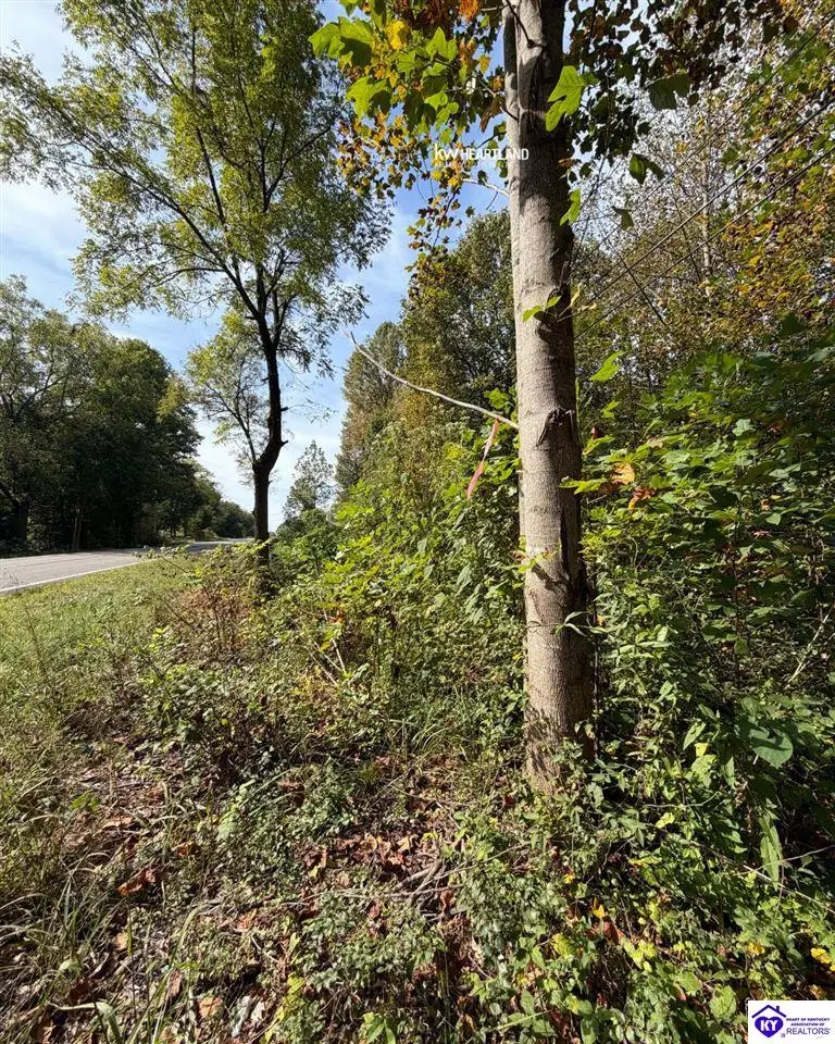 S Dixie Highway, Glendale, KY 42740 - #2