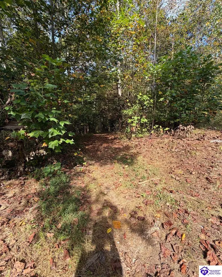 S Dixie Highway, Glendale, KY 42740 - #3
