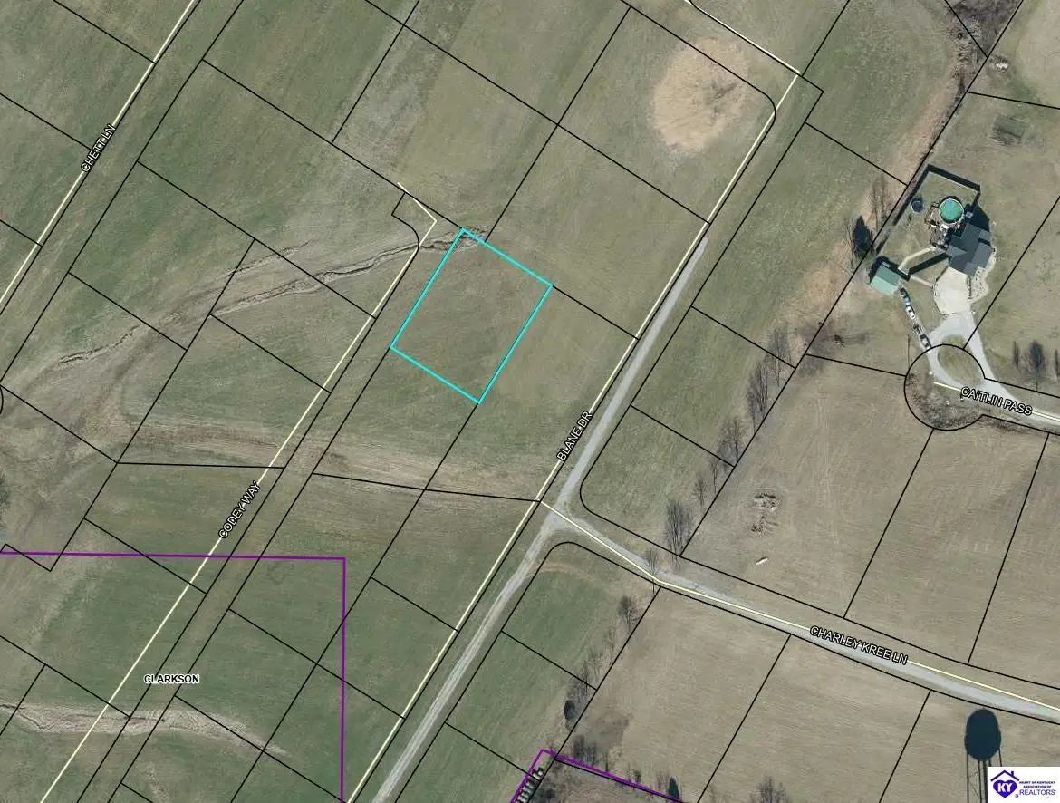 155 Codey Way, Clarkson, KY 42726 - #1