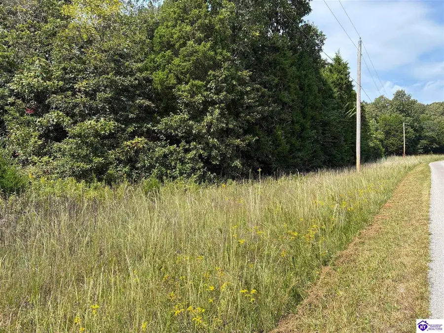 0 S Hwy 333, Vine Grove, KY 40175 - #2