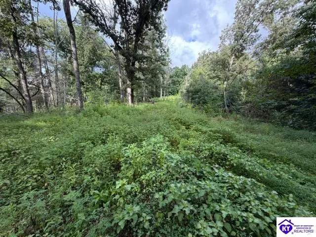 Tract G Sutzer Creek Road, Eastview, KY 42732 - #2