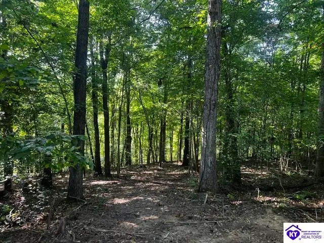 0 Jewell Flowers Road, Burkesville, KY 42717 - #2