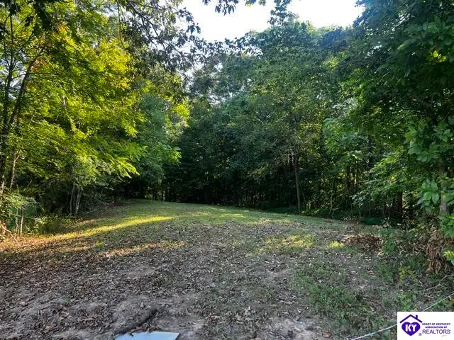 0 Jewell Flowers Road, Burkesville, KY 42717 - #3