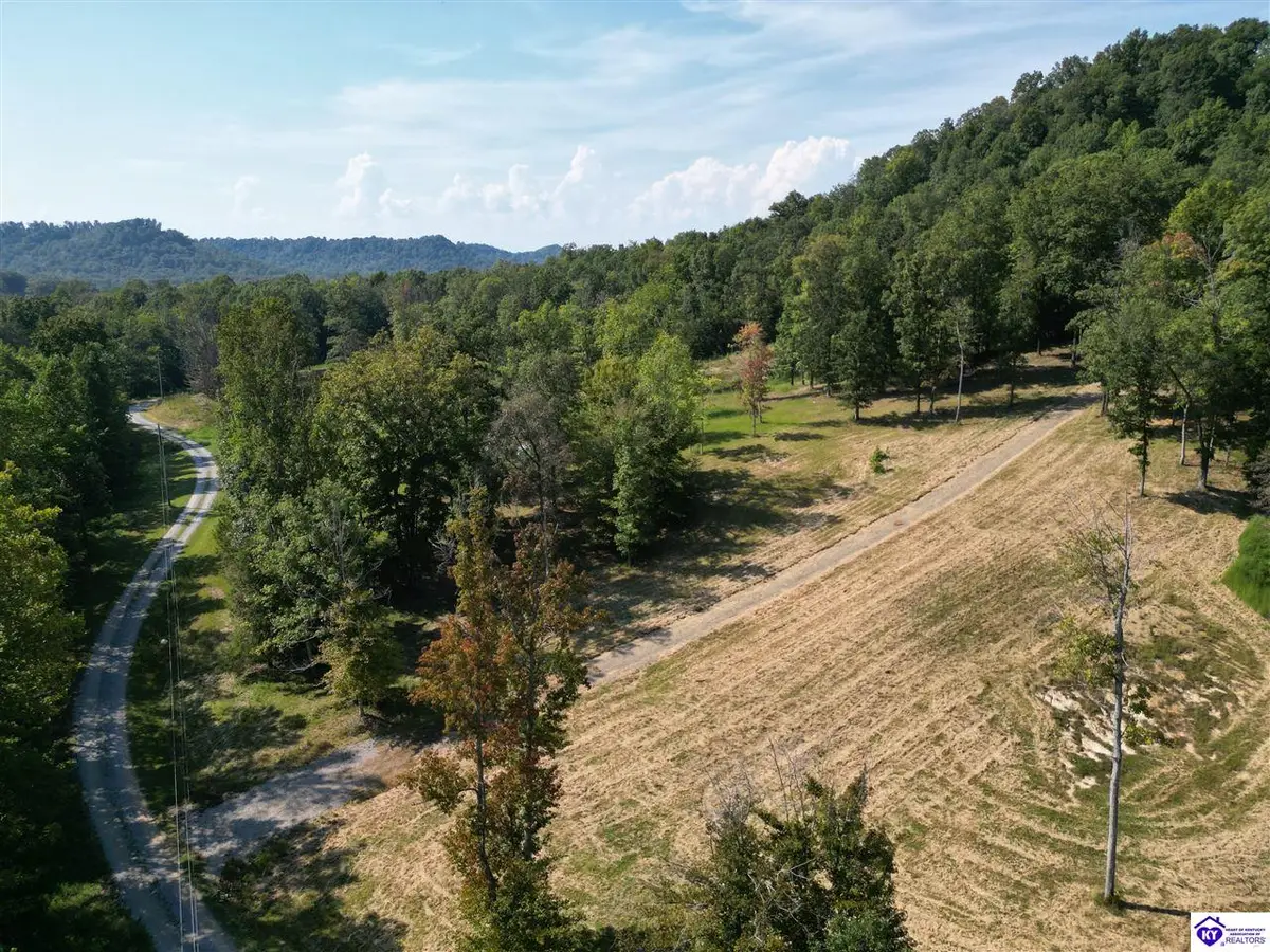 TRACTS 2 & 3 Moores Creek Road, Campbellsville, KY 42718 - #1