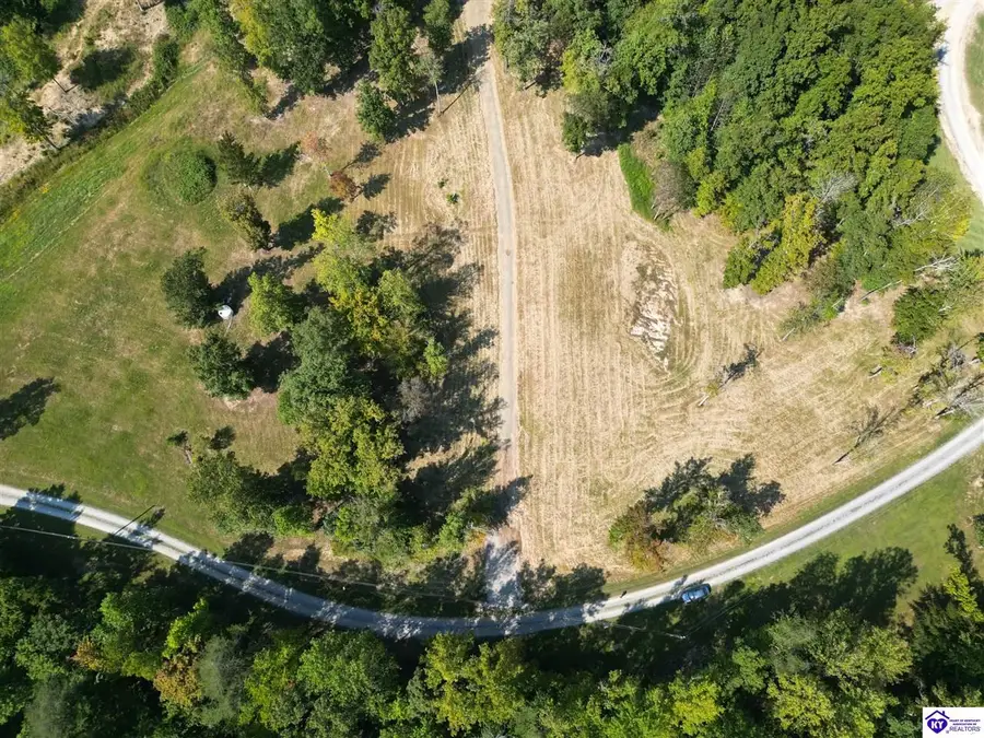 TRACTS 2 & 3 Moores Creek Road, Campbellsville, KY 42718 - #2