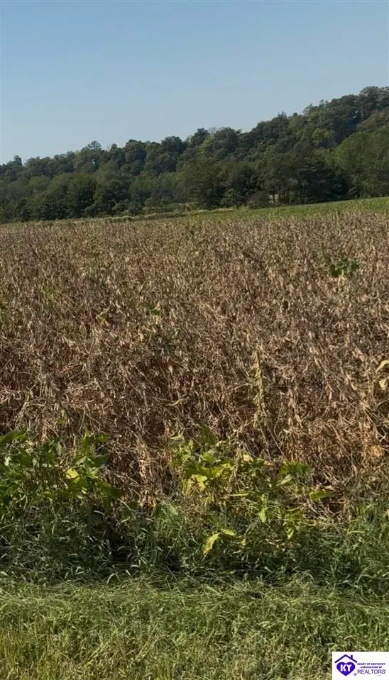 Green River Lane, Campbellsville, KY 42718