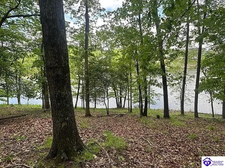 Lot 62 Lakeshore Parkway, Brandenburg, KY 40108 - #1