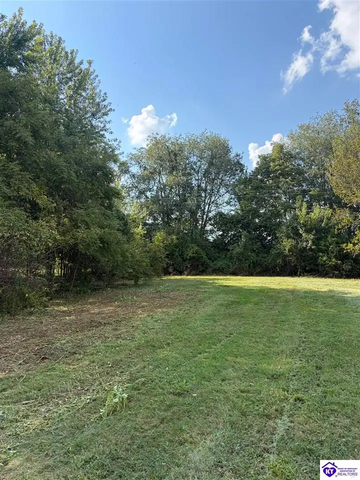 Lot 18 Fern Drive, Campbellsville, KY 42718 - #2