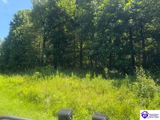 177 Bentwood Lane, Falls Of Rough, KY 40119 - #2