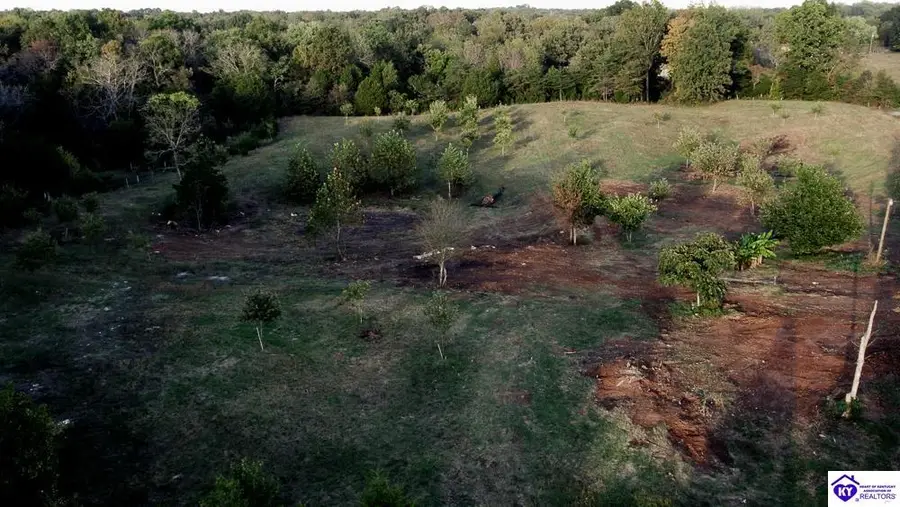 4810 Millerstown Road, Upton, KY 42784 - #3