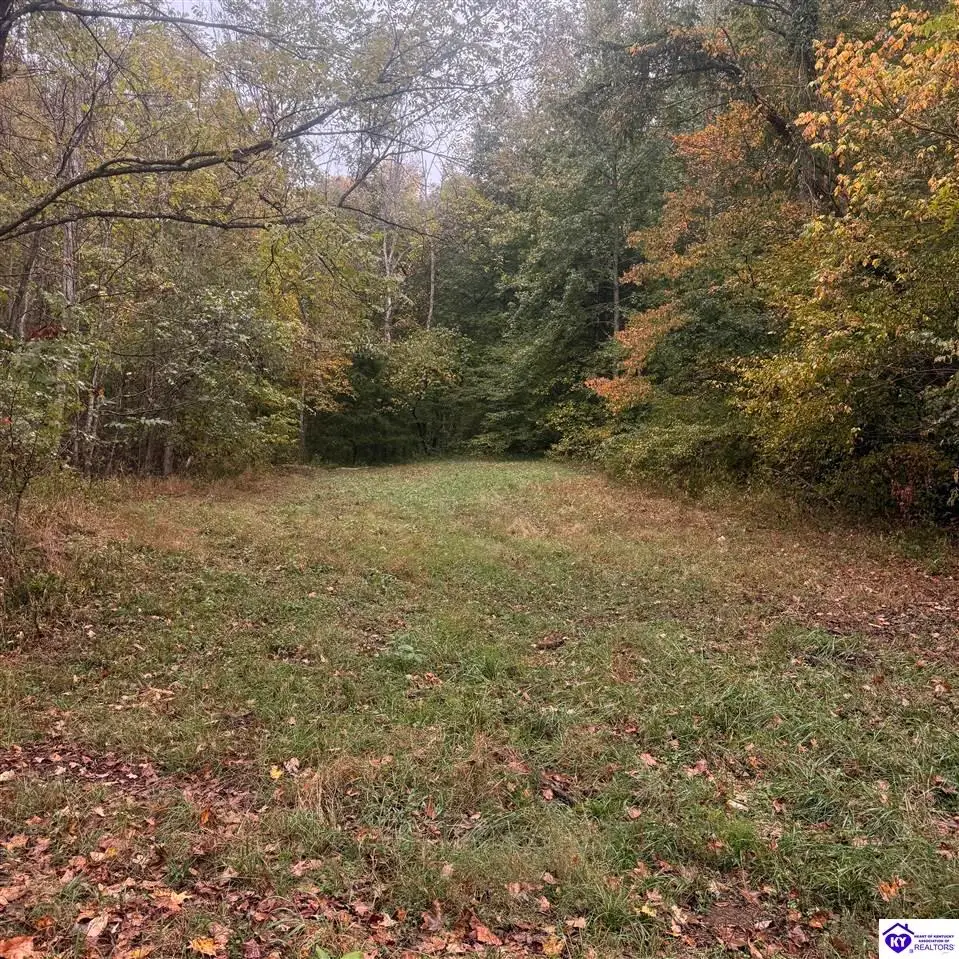 4130 Elkhorn Road, Knifley, KY 42753 - #1
