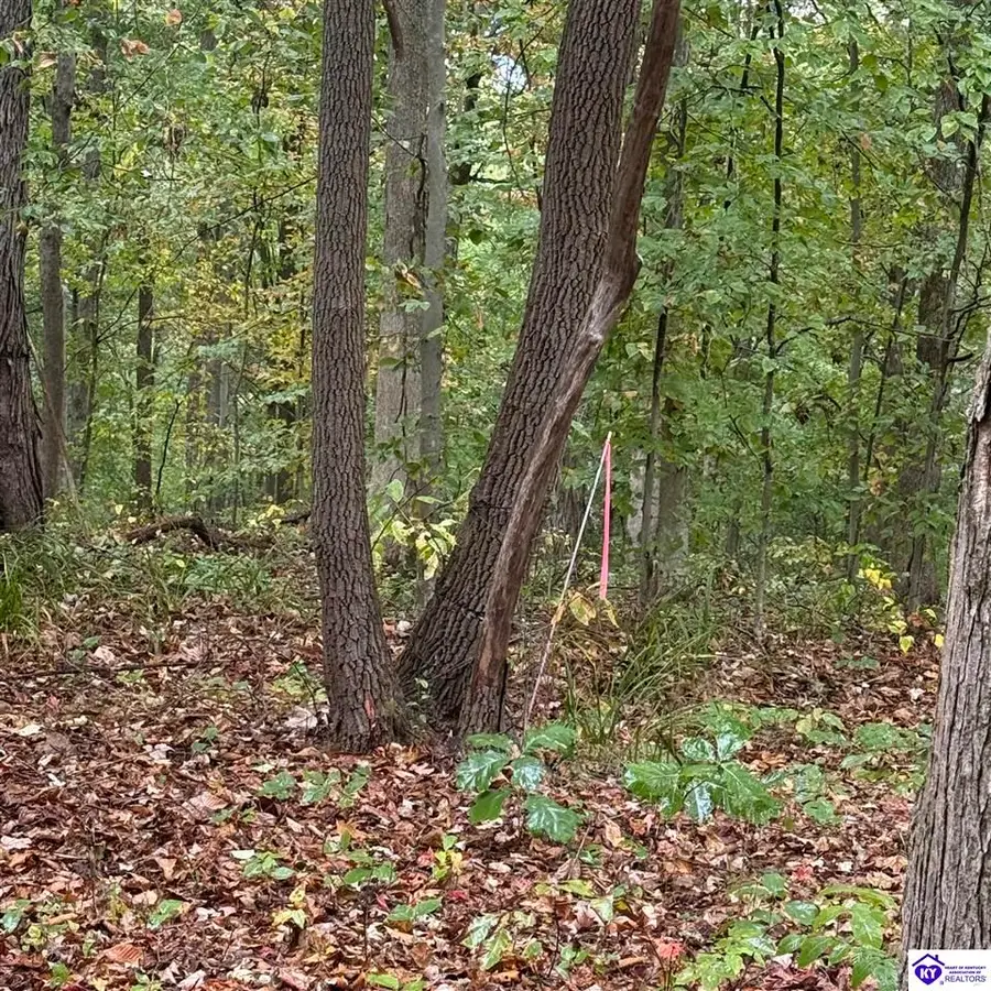 4130 Elkhorn Road, Knifley, KY 42753 - #3