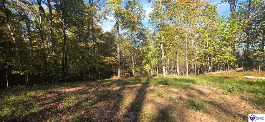 Lot 16 Ferncliff Road, Brandenburg, KY 40108 - #3
