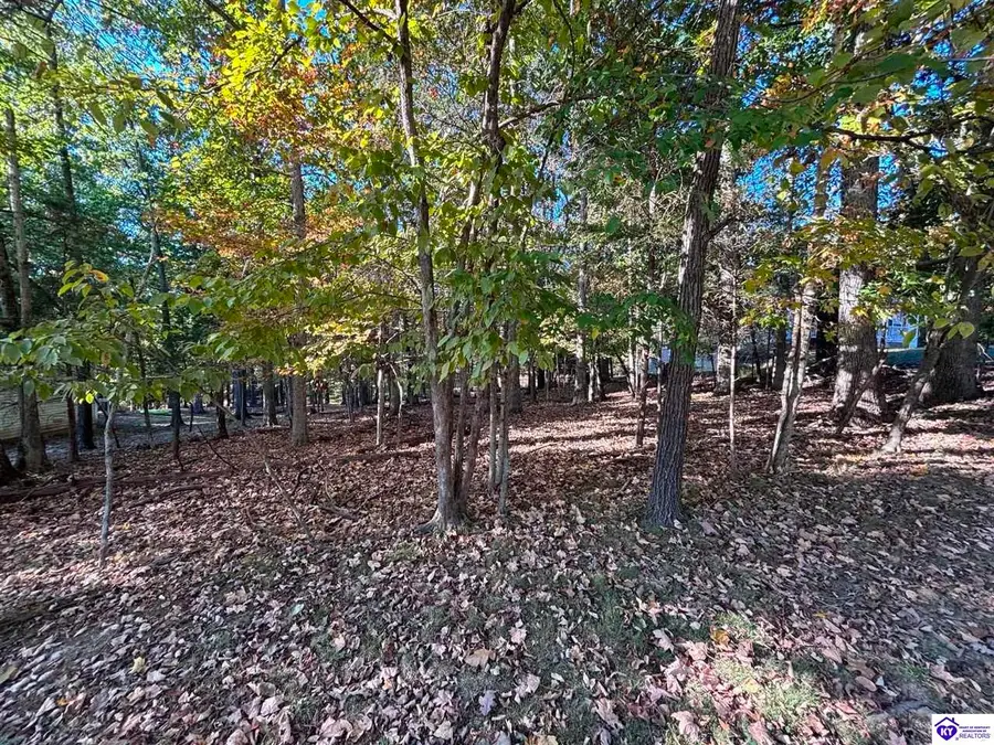Lot 246 Pine Point Drive, Brandenburg, KY 40108 - #2