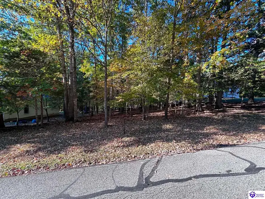 Lot 246 Pine Point Drive, Brandenburg, KY 40108 - #3