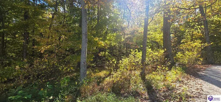 lot 25 Ferncliff Road, Brandenburg, KY 40108 - #3