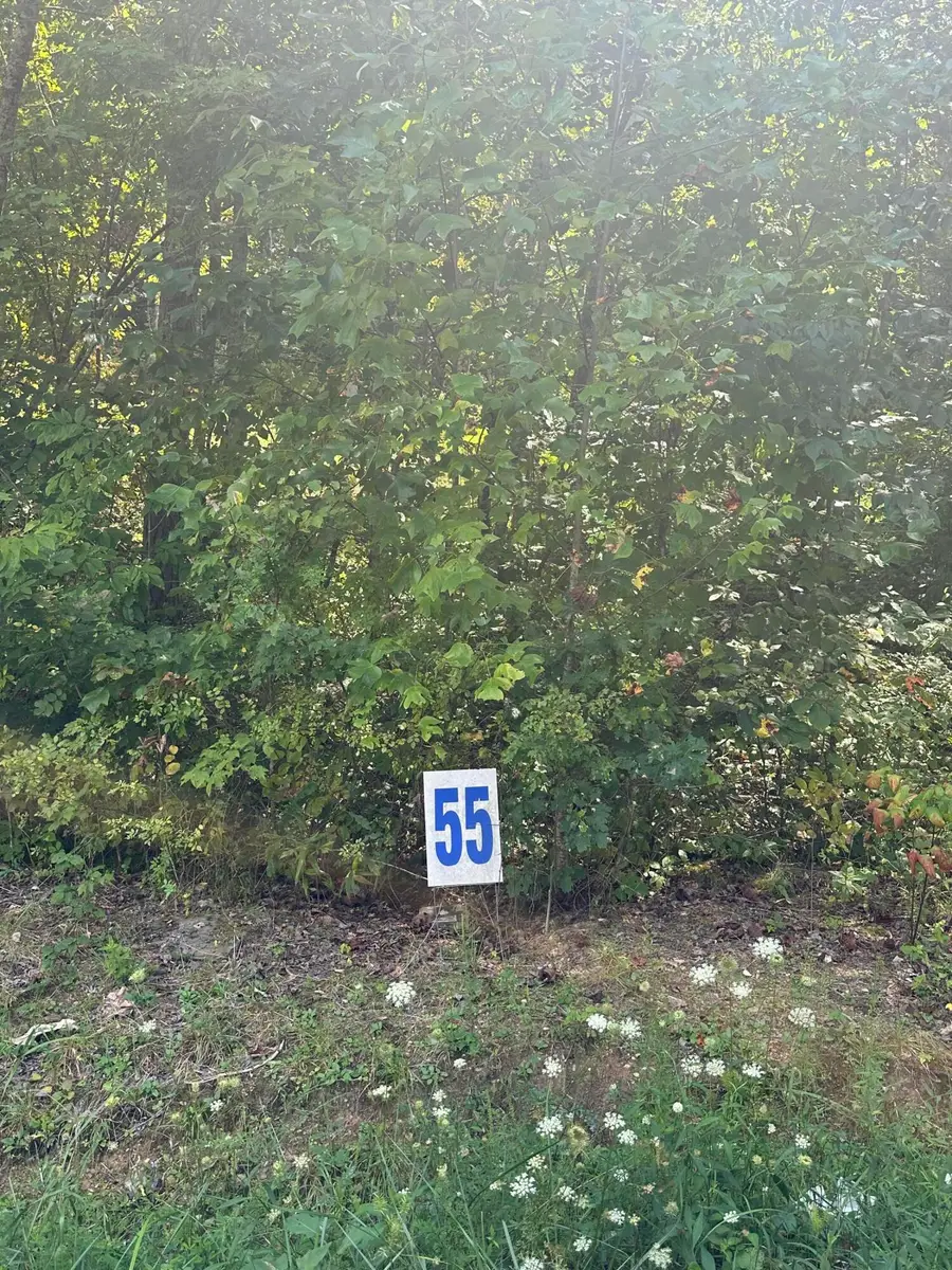 #3