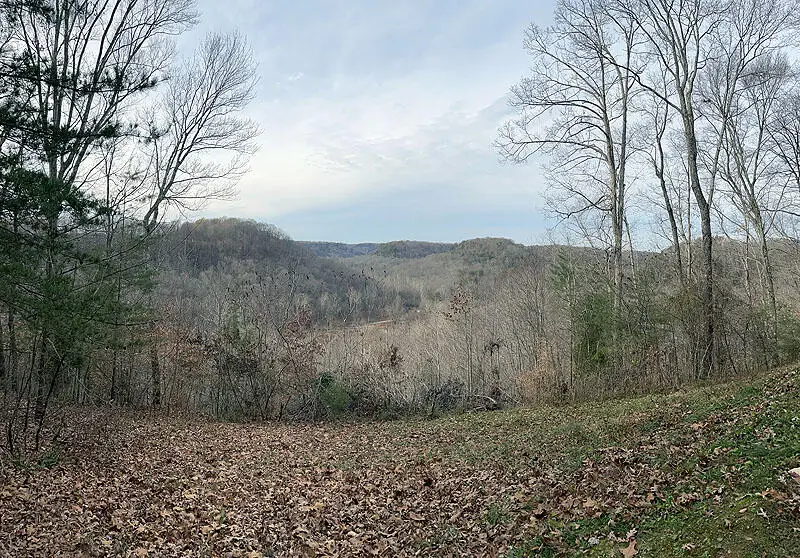 Lot 145 Stillwater, Russell Springs, KY 42642 - Image #2