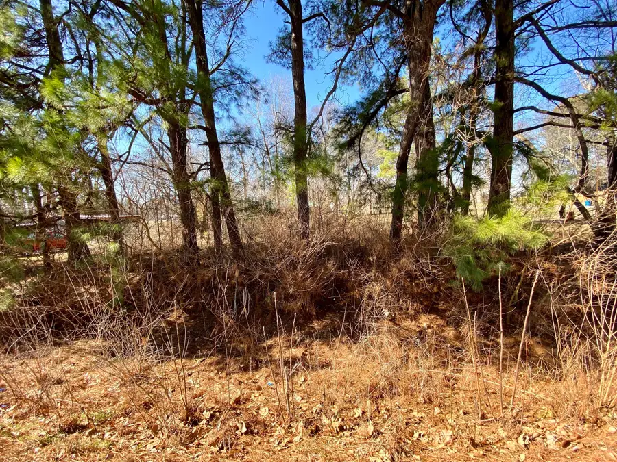 173 New Liberty Church Road, Kevil, KY 42053 - Image #2