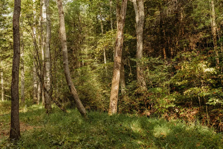 #2