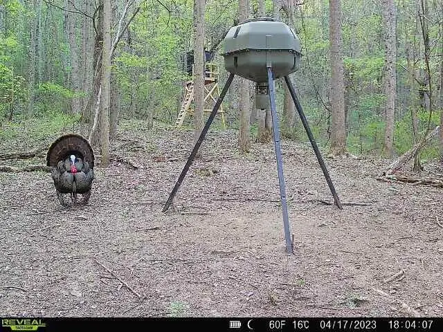 #2