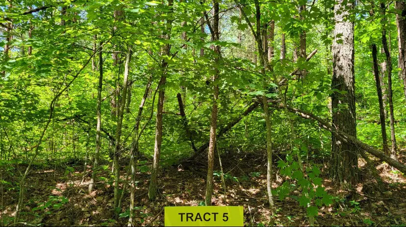 #1
