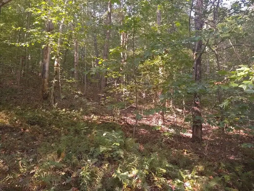 #3