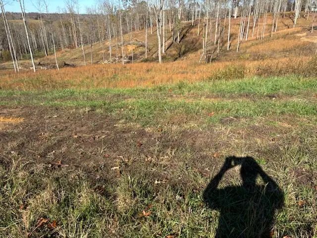 200  Woods Creek Lake Drive, Somerset, KY 42503 - #2