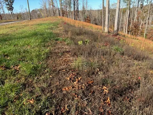 218 Woods Creek Lake Drive, Somerset, KY 42503 - #3