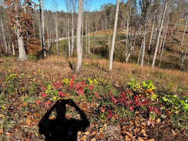 234 Woods Creek Lake Drive, Somerset, KY 42503 - #3