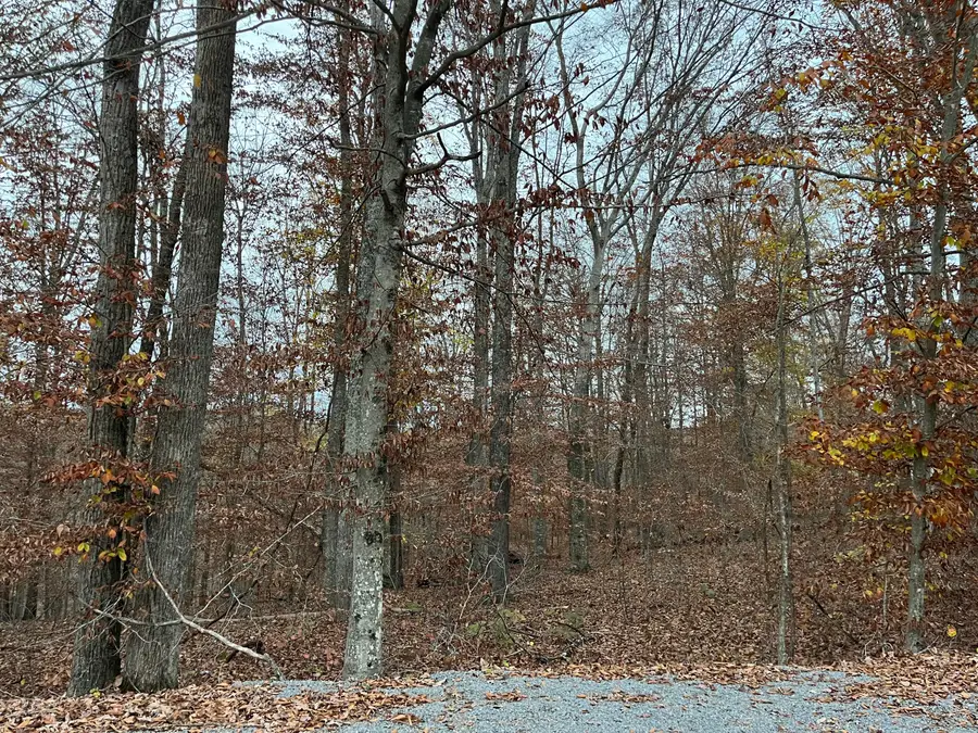 #3