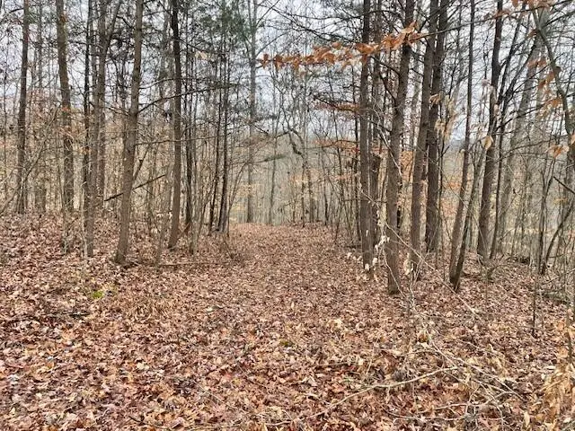 #3