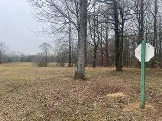 #3
