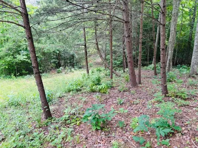 #3