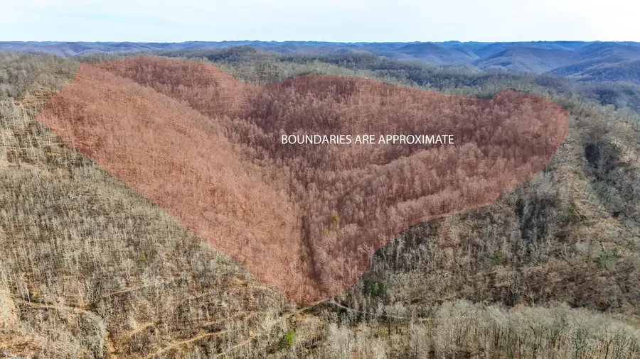 9999 Honeycutt Branch Turkey Creek, Barbourville, KY 40906 - #3