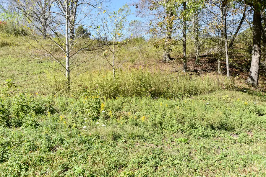 0 E Esculapis Fork Road, Vanceburg, KY 41179 - Image #3