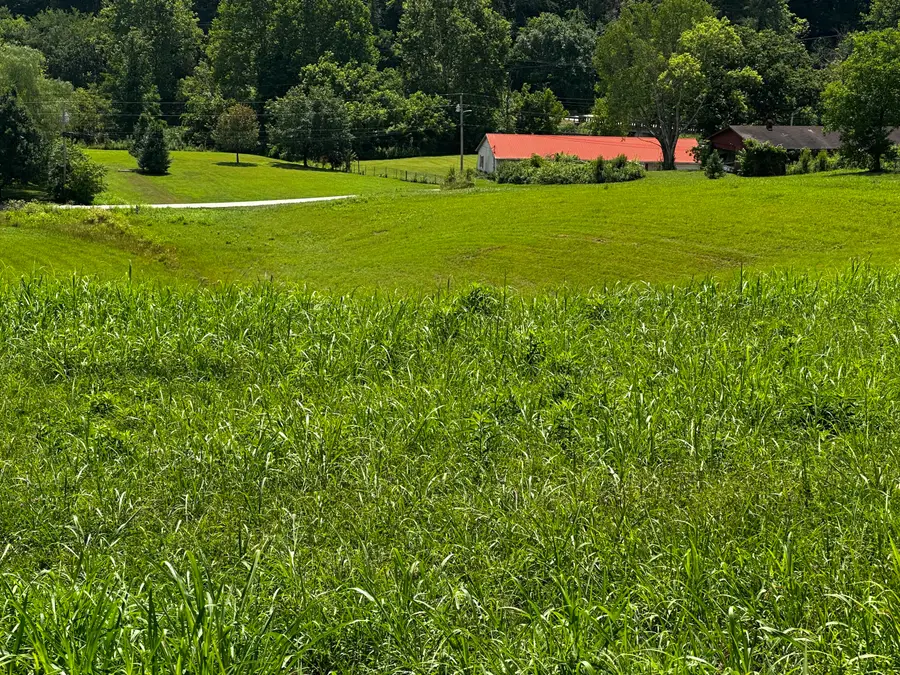 272 Valentine Branch Road, Cannon, KY 40923 - #2