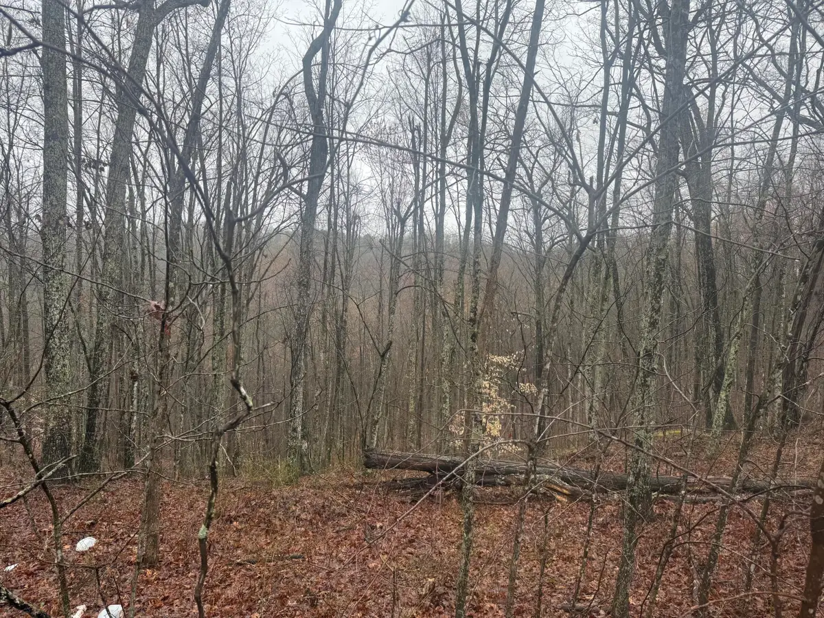 91 Acres Land Cains Creek Road, Sandy Hook, KY 41171 - Image #1