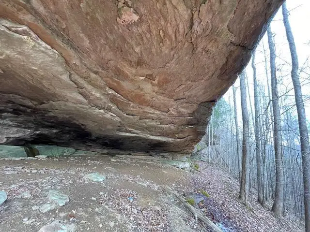 #2