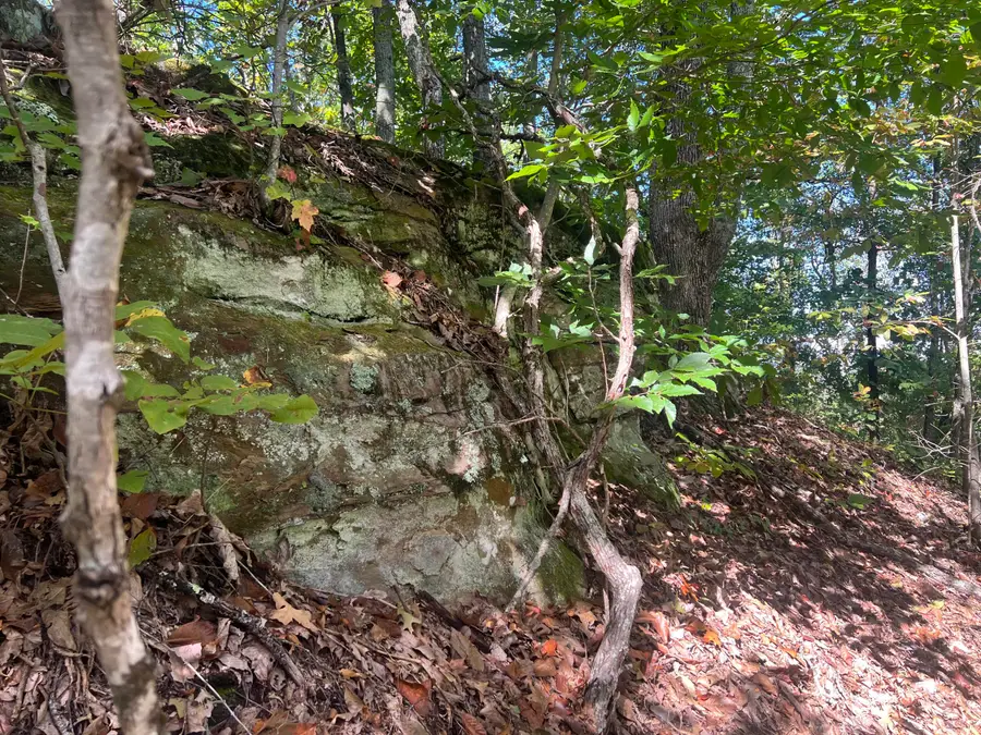 9999 Russell Cemetery Road, Salyersville, KY 41465 - Image #2